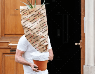 Person wearing a paper bag over their head, holding a potted plant outside a wooden door.